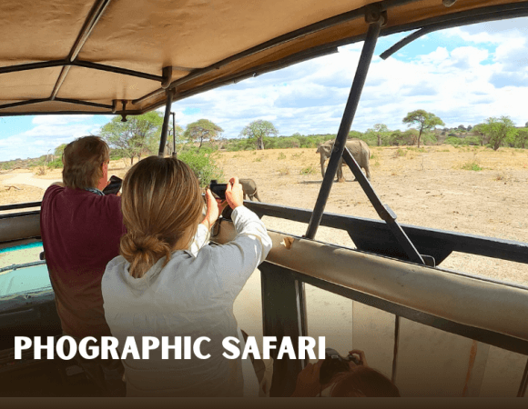 photogrpahic safari with guides with experience to find the best spot and that knows about the wildlife