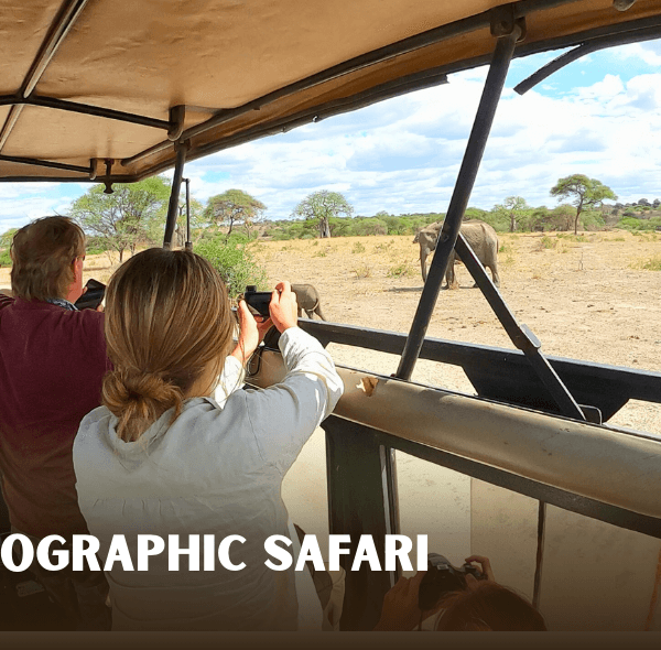 photogrpahic safari with guides with experience to find the best spot and that knows about the wildlife