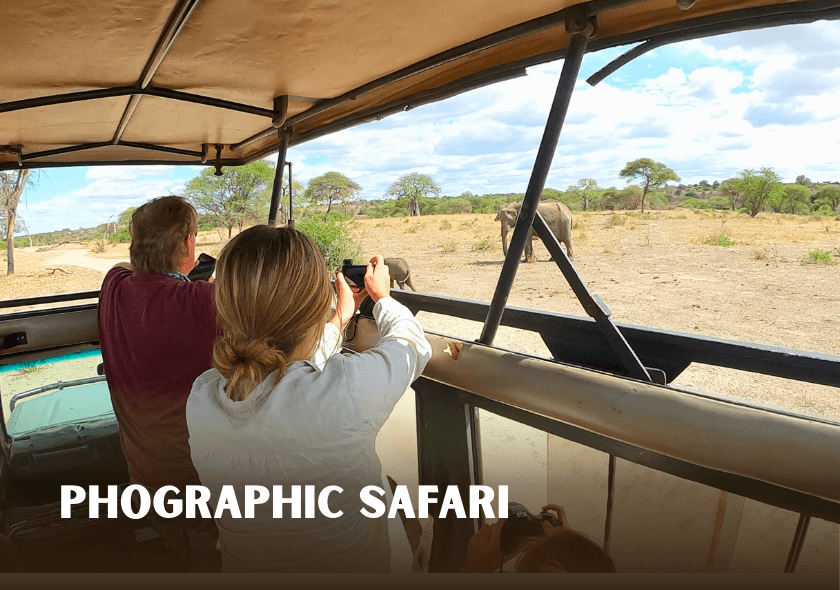 photogrpahic safari with guides with experience to find the best spot and that knows about the wildlife