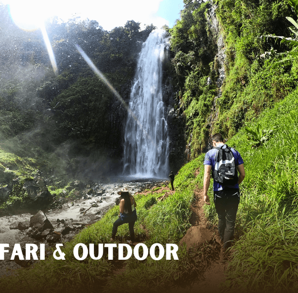 combine activities out of the car in the national parks or communitites hike, conoe treetop, bike or others