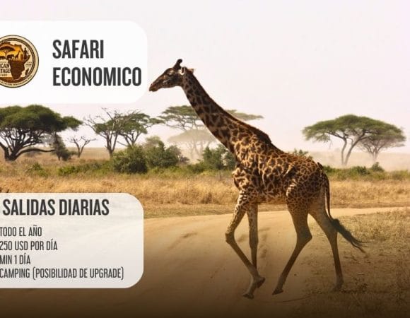 4 Días safari de grupo