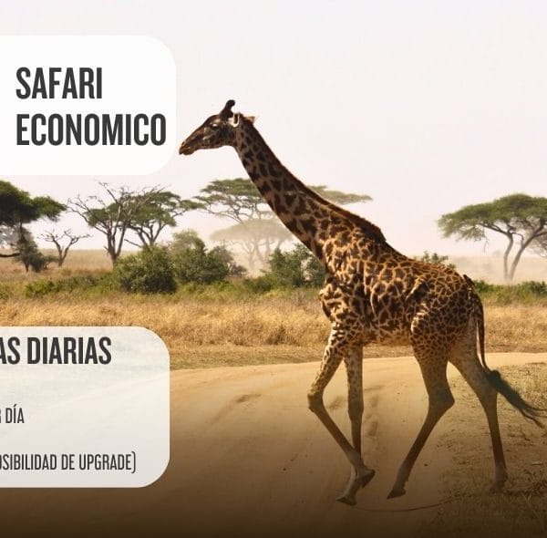 safari economico tanzania 1,2 3 o 4 días, camping grupal.