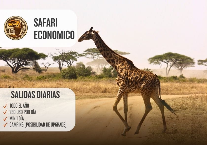 safari economico tanzania 1,2 3 o 4 días, camping grupal.