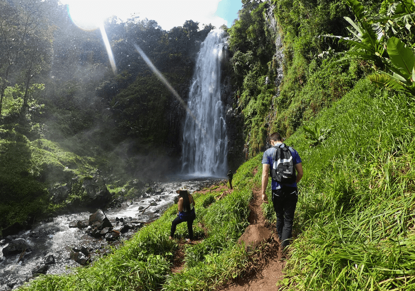 Coffee & Hike Kilimanjaro Foothills