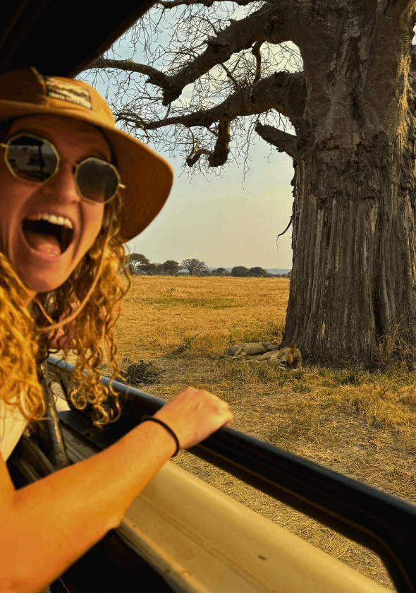 Safari grupal economico salidas diarias tanzania