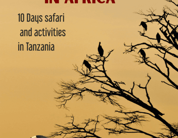 Christmas Group Safari Tanzania