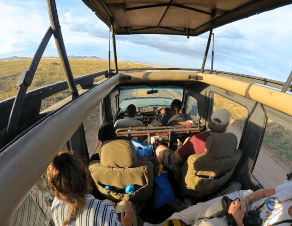 Safari de Navidad: Vacaciones únicas en Tanzania bajo las estrellas