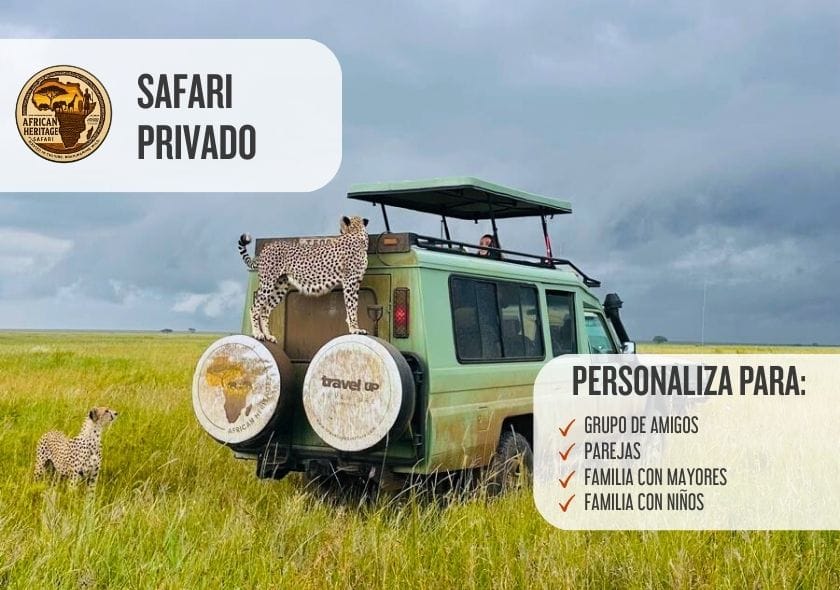safari pivado kenia y tanzania hoteles privados personalizado lunas de miel