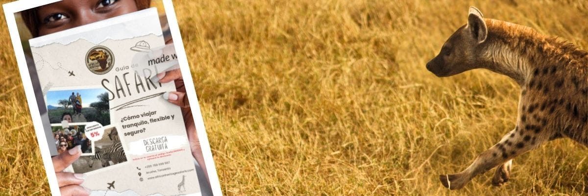 descarga guia de safari para organizar viaje en tanzania